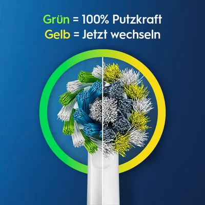 Links grüne neue Borsten für 100% Putzkraft, rechts gelbe abgenutzte Borsten: Jetzt Wechseln., Oral-B Nr.-1-Logo auf blauem Hintergrund., Oral-B Logo auf blauem Hintergrund., Nahaufnahme einer Aufsteckbürste, die die Zähne reinigt und das Zahnfleisch pflegt.