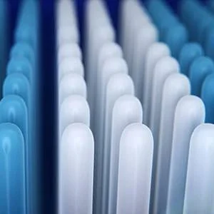 Zahnbürstenkopf mit blauen und weißen Borsten, die eine gründliche Reinigung der Zähne versprechen.